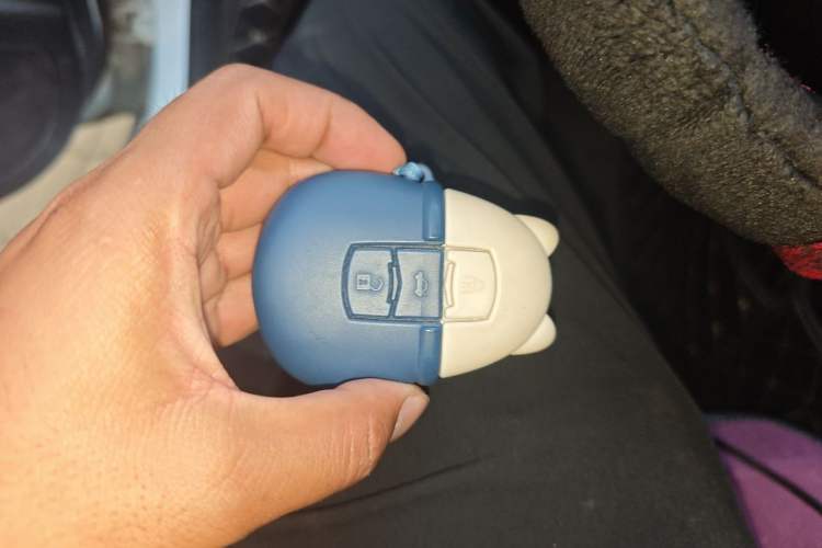 Used Geely Auto Vision X3 2021 PRO 1.5L CVT Deluxe Model Vehicle Key