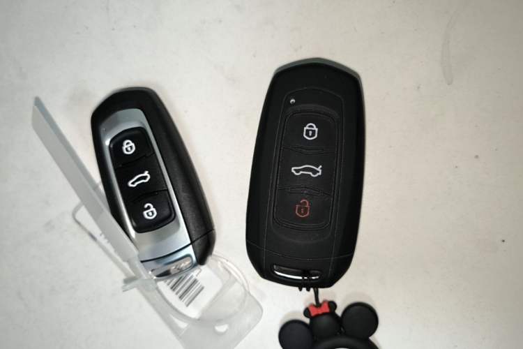 Used Geely Auto Vision X3 2021 PRO 1.5L CVT Deluxe Model Vehicle Key