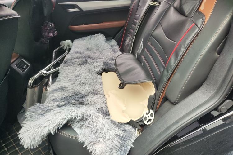 Used Geely Auto Vision X6 2020 1.4T CVT Luxury Edition Left Rear Seat