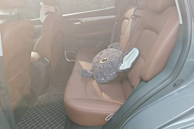Used Geely Auto Vision X6 2021 PRO 1.4T Automatic Prestige Model Left Rear Seat