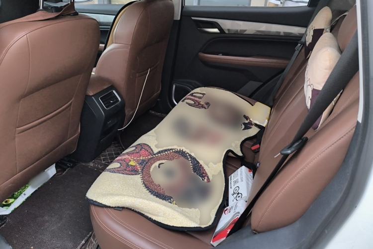 Used Geely Auto Vision X6 2021 PRO 1.4T Automatic Prestige Model Left Rear Seat