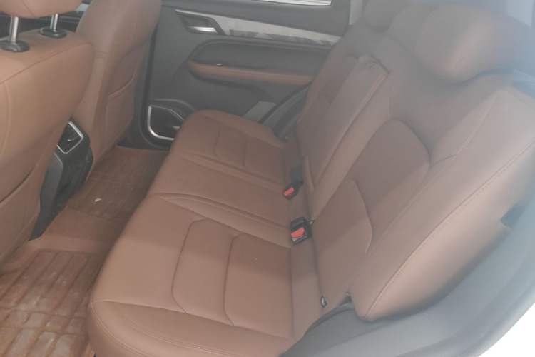 Used Geely Auto Vision X6 2021 PRO 1.4T Automatic Prestige Model Left Rear Seat