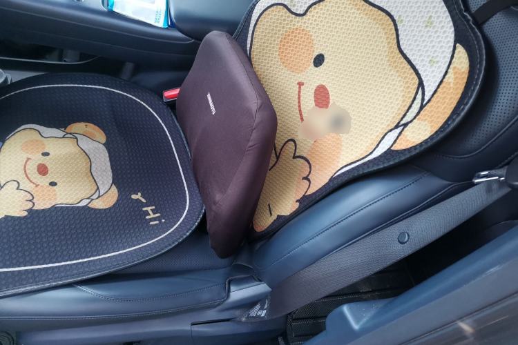 Used Geely Galaxy E5 2024 440km Exploration Version Left Front Seat