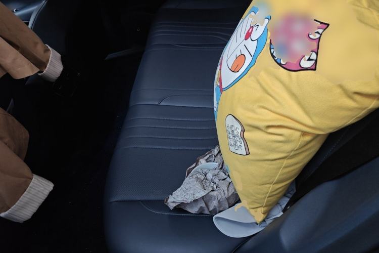 Used Geely Galaxy E5 2024 530km Long-Range Version Left Rear Seat