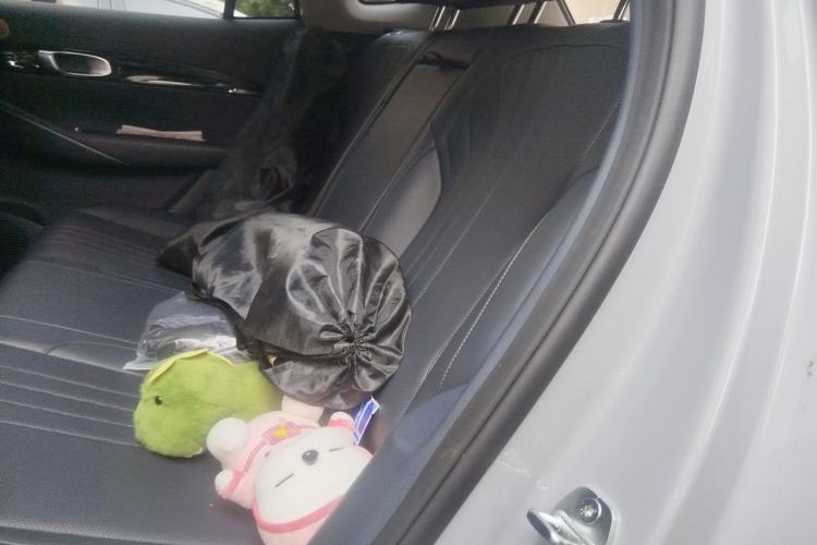 Used Geely Galaxy E5 2024 530km Starship Edition Left Rear Seat