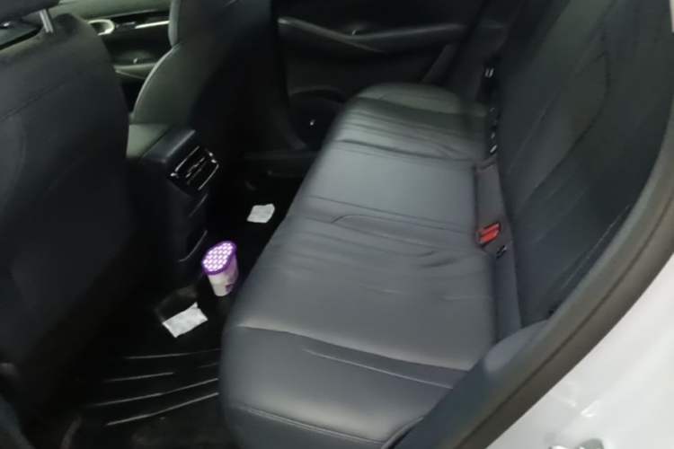 Used Geely Galaxy E5 2024 Model 530km Business Edition Left Rear Seat