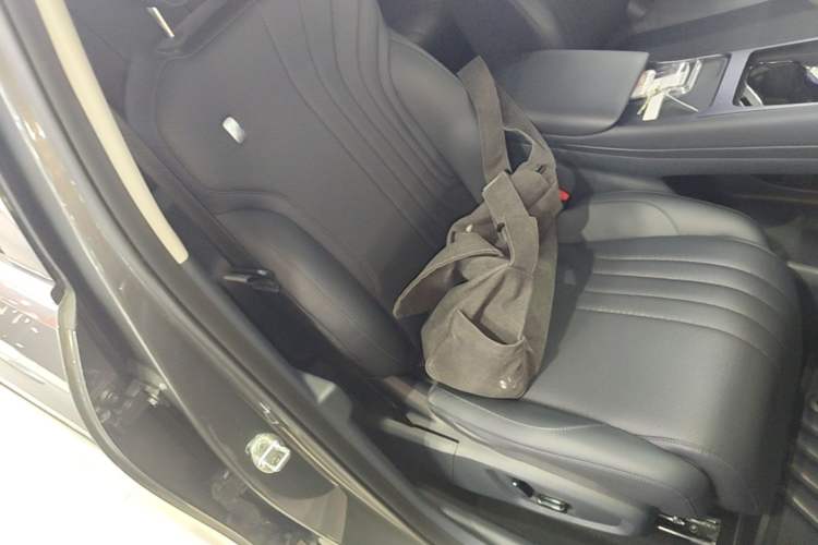 Used Geely Galaxy E5 2024 530km Starship Edition Right Front Seat