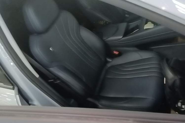 Used Geely Galaxy E5 2024 440km Launch Edition Right Front Seat