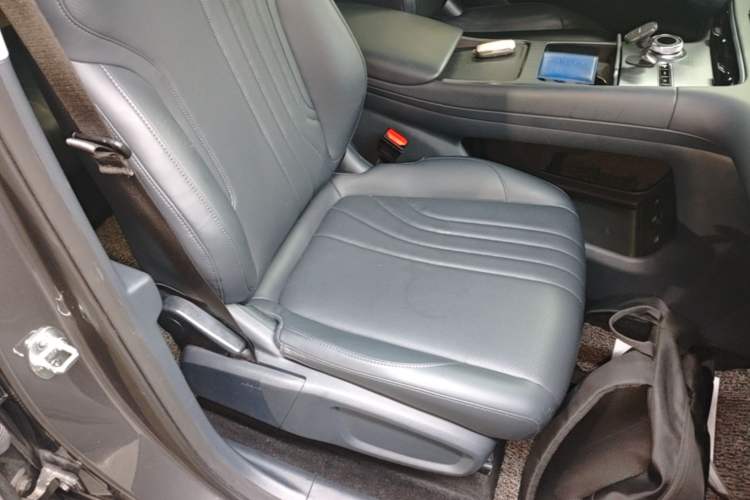 Used Geely Galaxy E5 2024 440km Launch Edition Right Front Seat