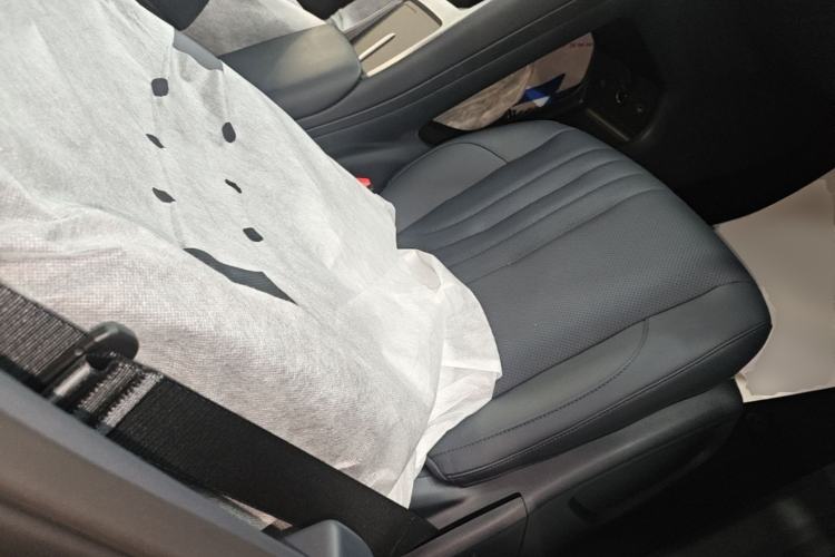 Used Geely Galaxy E5 2024 440km Launch Edition Right Front Seat
