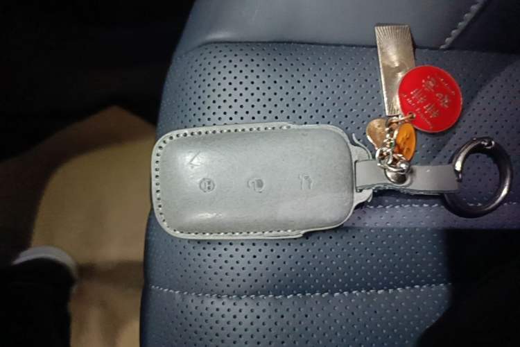 Used Geely Galaxy E5 2024 530 km Exploration+ Version Vehicle Key