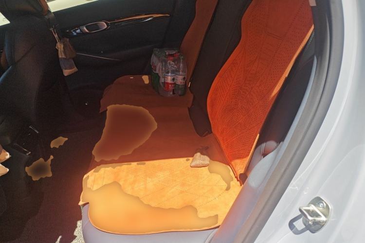 Used Geely Galaxy E5 2024 440km Exploration Version Left Rear Seat