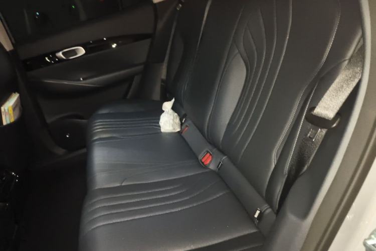 Used Geely Galaxy E5 2024 440km Exploration Version Left Rear Seat