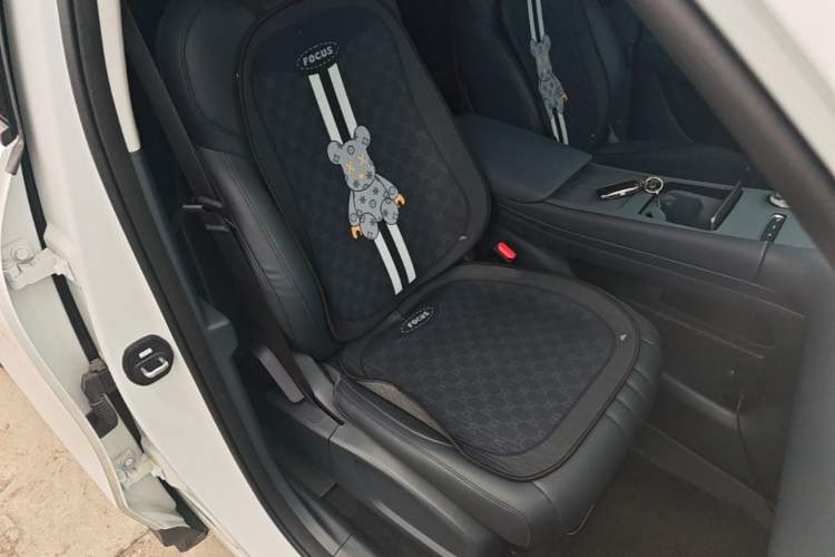 Used Geely Galaxy E5 2024 Model 530km Business Edition Right Front Seat