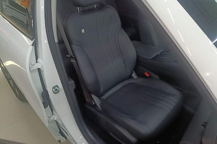 Used Geely Galaxy E5 2024 440km Launch Edition Right Front Seat