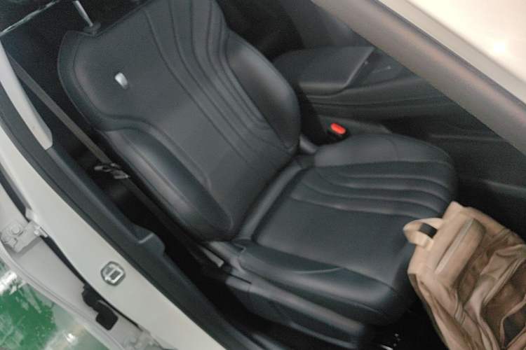 Used Geely Galaxy E5 2024 440km Launch Edition Right Front Seat