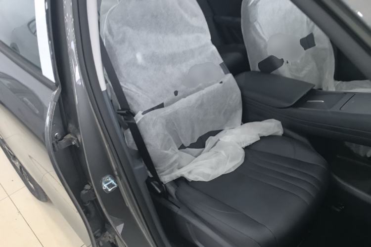 Used Geely Galaxy E5 2026 Model 530km Launch Edition Right Front Seat
