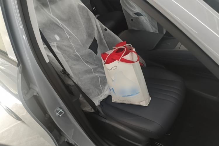 Used Geely Galaxy E5 2026 Model 530km Launch Edition Right Front Seat