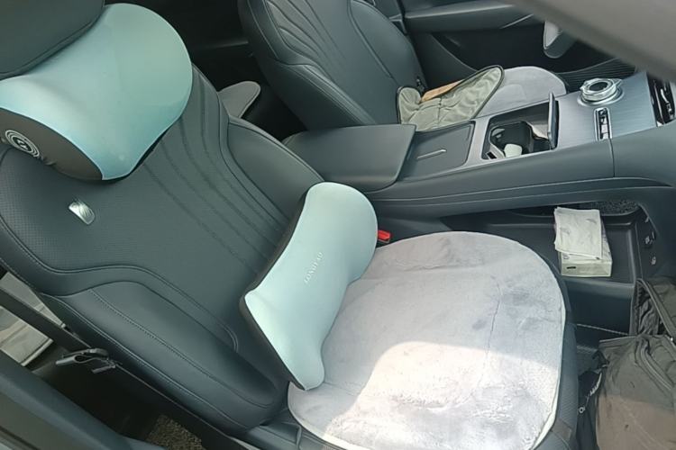Used Geely Galaxy E5 2026 Model 530km Launch Edition Right Front Seat