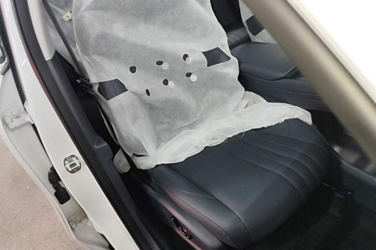 Used Geely Galaxy E5 2026 Model 530km Exploration Edition Right Front Seat
