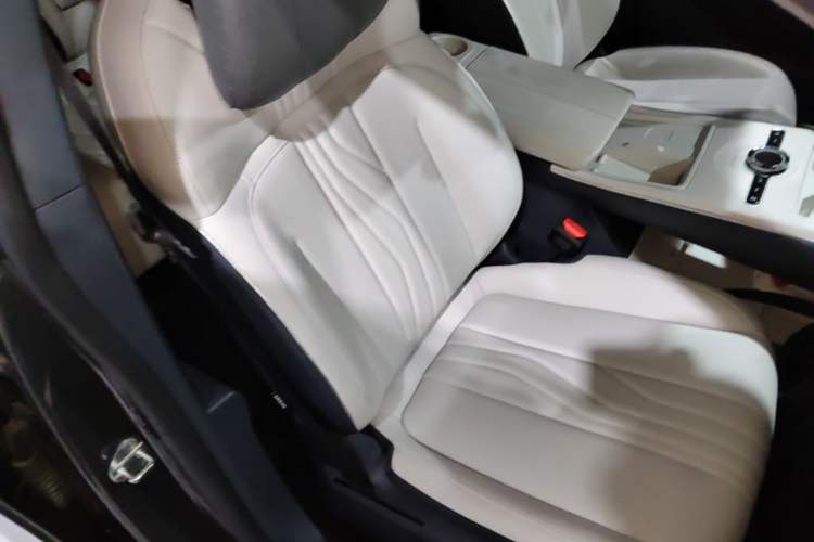 Used Geely Galaxy E8 2024 550 km Range Rear-Drive MAX Right Front Seat