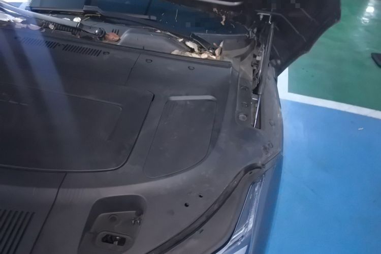 Used Geely Galaxy E8 2024 550 km Range Rear-Drive Dragon Edition Engine Bay Left