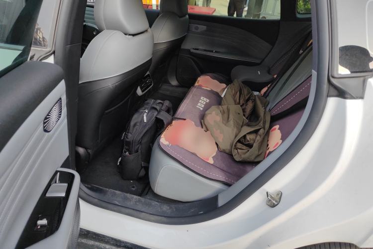 Used Geely Galaxy E8 2024 550 km Range Rear-Drive MAX Left Rear Seat