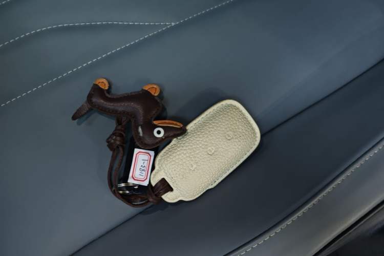 Used Geely Galaxy E8 2024 550 km Range Rear-Wheel-Drive PRO Vehicle Key