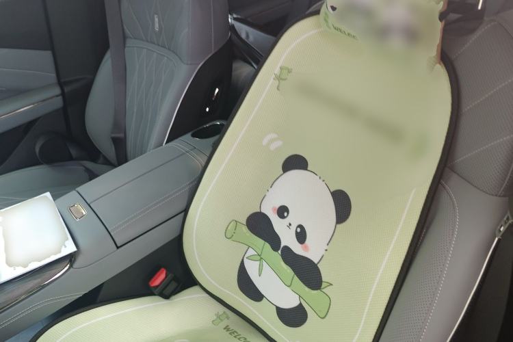 Used Geely Galaxy E8 2025 Model—610km Exploration+ Version Left Front Seat