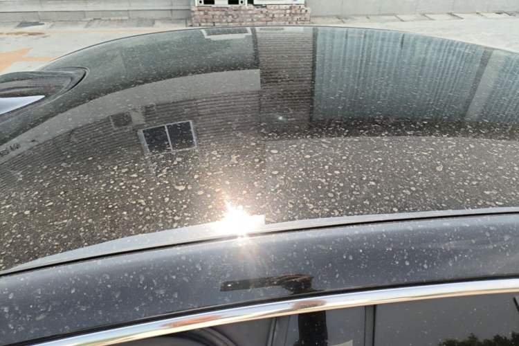 Used Geely Galaxy 8 2025 130km EM-P Starship Edition Roof