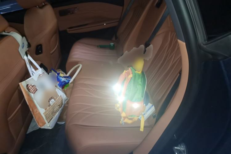 Used Geely Galaxy 8 2025 130km EM-P Starship Edition Left Rear Seat