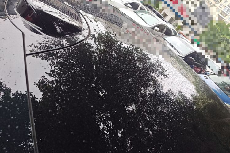 Used Geely Galaxy 8 2025 130km EM-P Starship Edition Roof