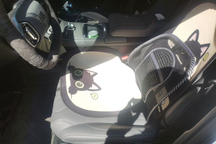 Used Geely Galaxy A7 2025 Model EM-i 150km Prestige Edition Left Front Seat