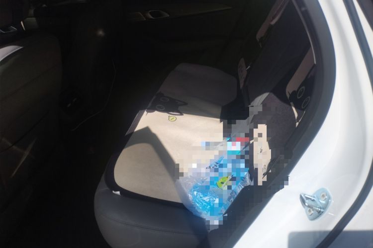 Used Geely Galaxy A7 2025 Model EM-i 150km Prestige Edition Left Rear Seat