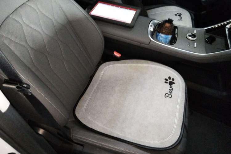 Used Geely Galaxy A7 2025 Model EM-i 70km Luxury Edition Right Front Seat