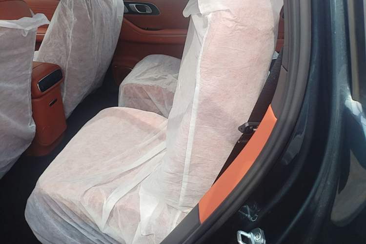 Used Geely Galaxy M9 2025 Model 230km Two-Wheel-Drive Smart Navigation Edition Left Rear Seat