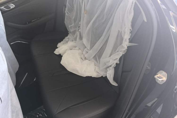 Used Geely Galaxy Stellar 6 2026 Model 125km Long-range Edition Left Rear Seat