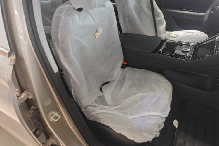 Used Geely Galaxy Stellar 6 2026 Model 125km Long-range Edition Right Front Seat
