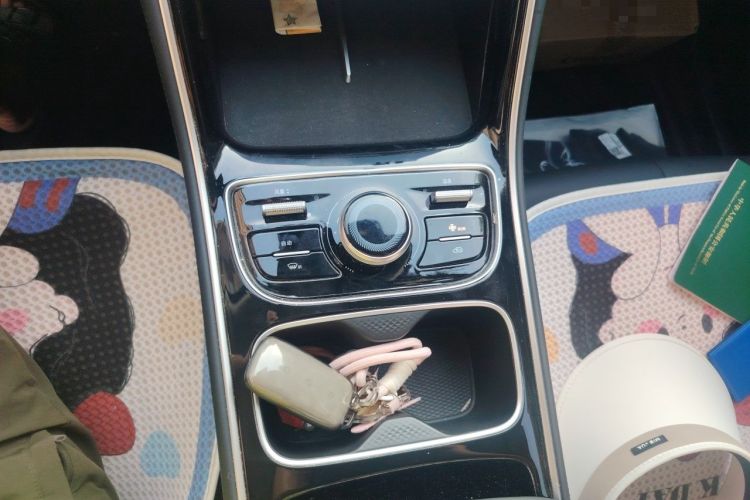 Used Geely Galaxy Stellar 6 2026 Model 60km Sailing Edition Gear Lever