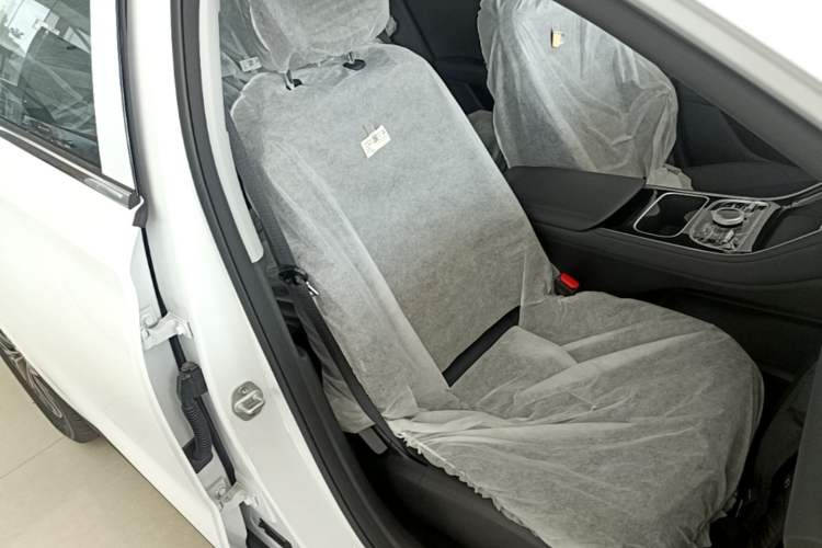 Used Geely Galaxy Stellar 6 2026 Model 125km Free-Style Edition Right Front Seat