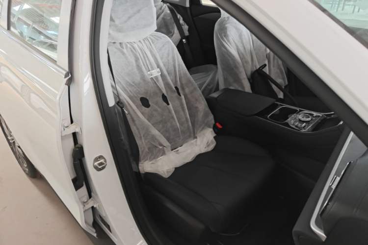Used Geely Galaxy Stellar 6 2026 Model 125km Free-Style Edition Right Front Seat