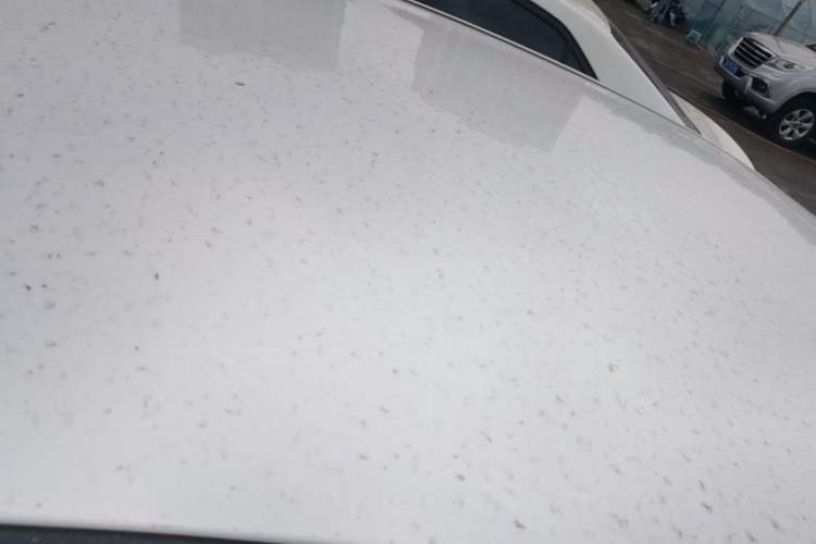 Used Geely Galaxy Stellar 6 2026 Model 60km Sailing Edition Roof