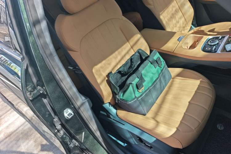 Used Geely Galaxy Xingjian 7 EM-i 2025 120km Navigator Edition Right Front Seat