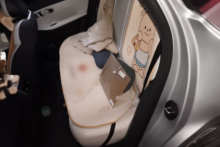 Used Geely Galaxy Xingjian 7 EM-i 2025 120km Exploration+ Version Left Rear Seat