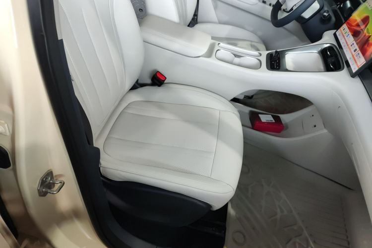 Used Geely Galaxy Geome 2025 310km Dream Edition Right Front Seat