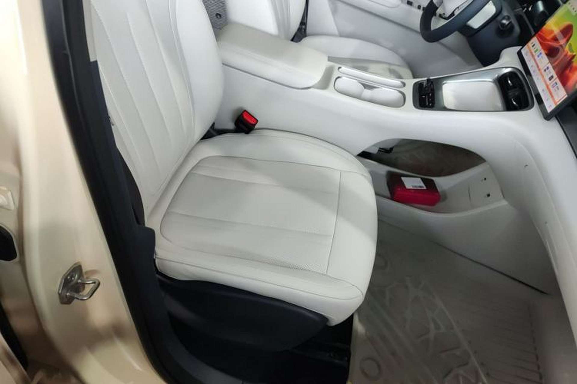 Used Geely Galaxy Geome 2025 310km Dream Edition Right Front Seat