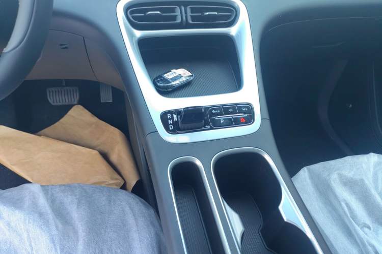 Used Geely Galaxy Geome 2025 310km Youth Edition Gear Lever