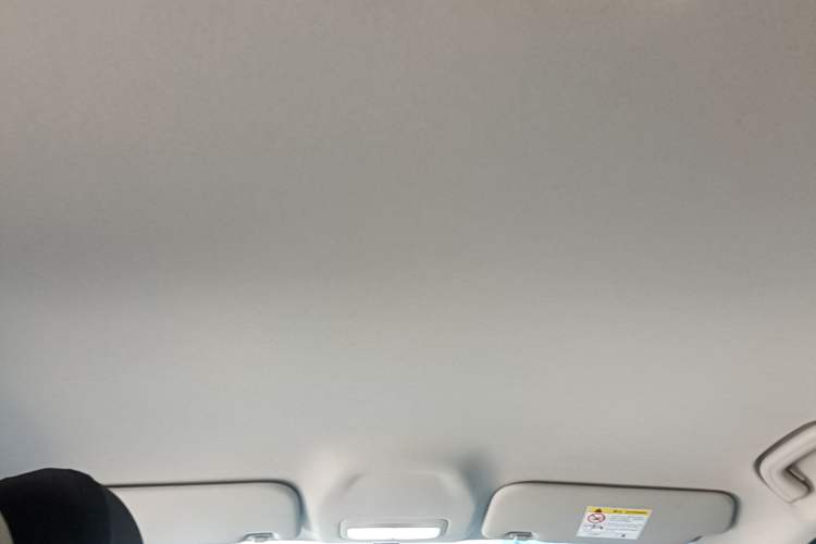 Used Geely Galaxy Geome 2025 310km Youth Edition Headliner