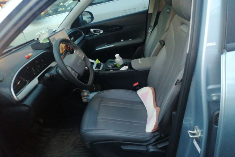 Used Geely Galaxy Geome 2025 310km Dream Edition Left Front Seat