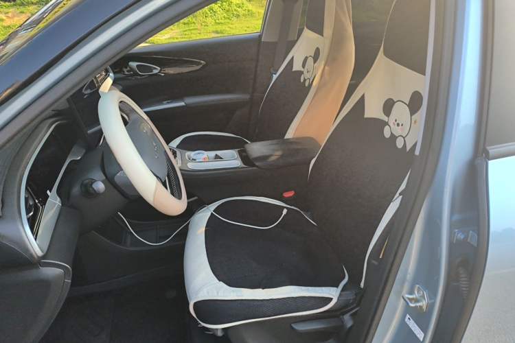 Used Geely Galaxy Geome 2025 310km Dream Edition Left Front Seat